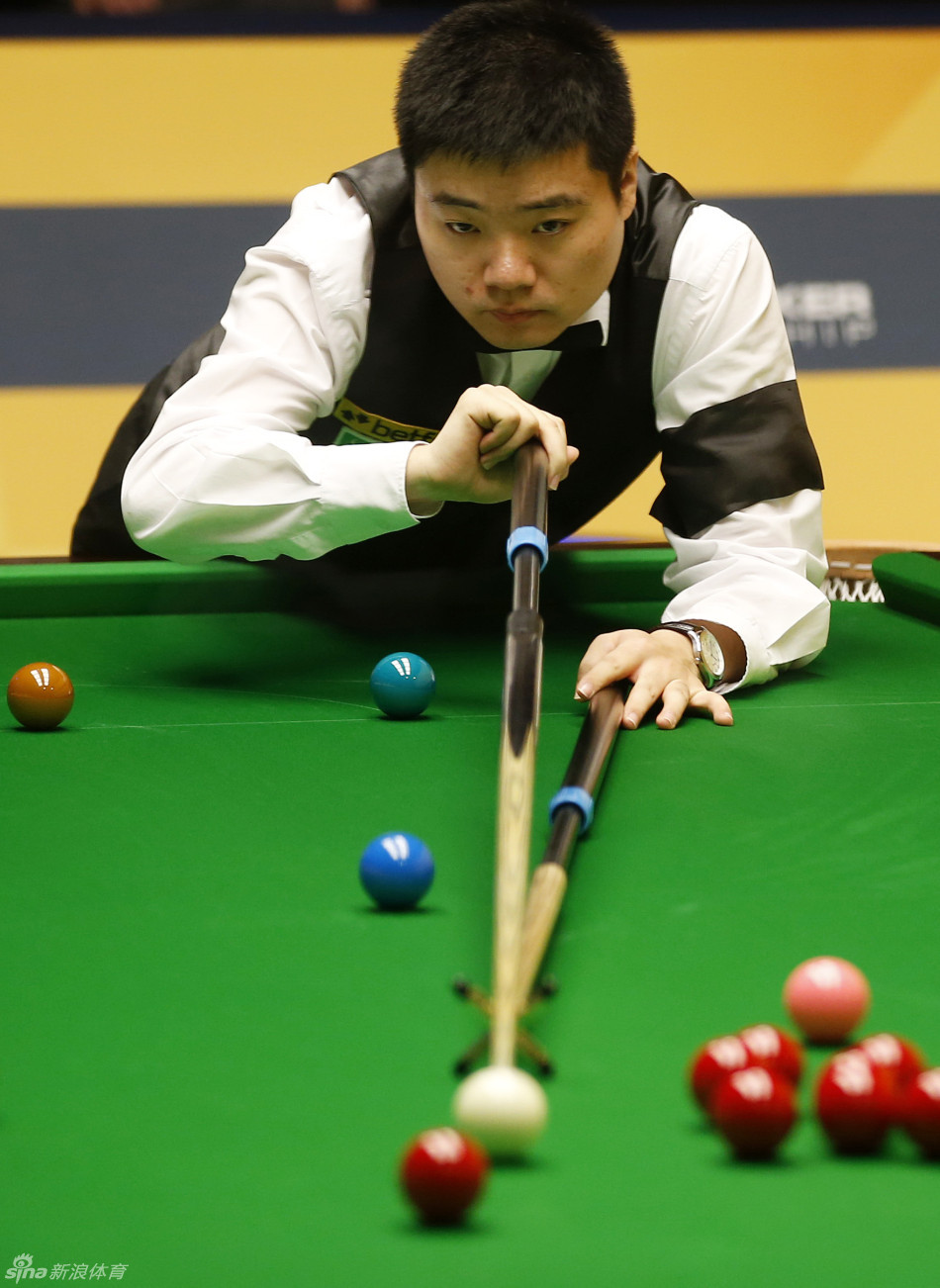 迷广泛热议 迷广泛热议