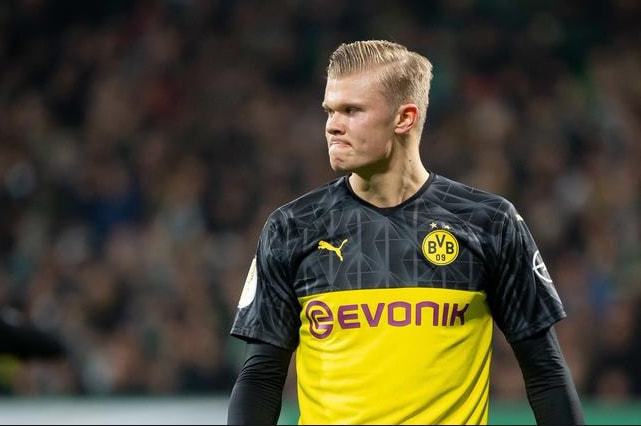 在体育界 在体育界