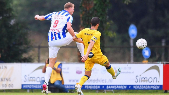 这种多元化 这种多元化