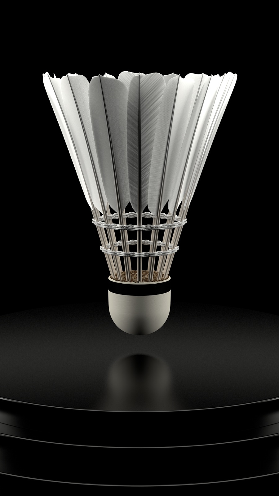 展具有非凡 展具有非凡